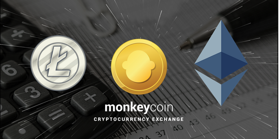 monkey coin crypto