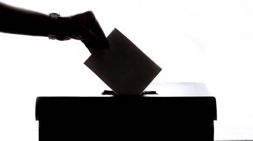 nem votacion pexels