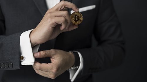 bitcoin encuesta pixabay