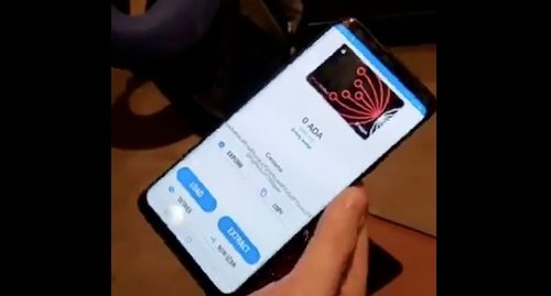 cardano twitter