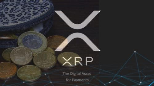 xrp wallets canva