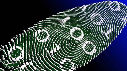biometrico pixabay