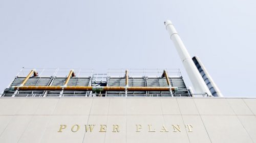planta energia unsplash