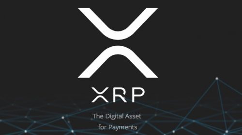 xrp web