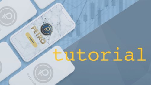 Tutorial de la PetroApp. Imagen basada en web del Petro