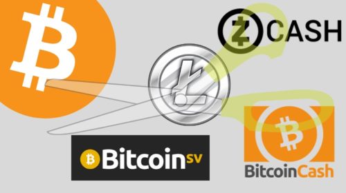 halving criptomonedas