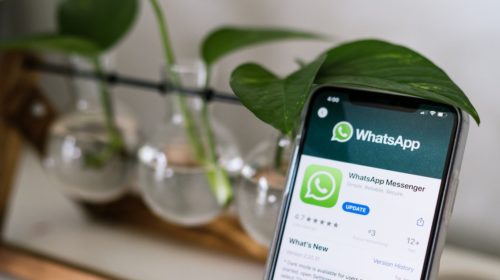 bitcoin whatsapp