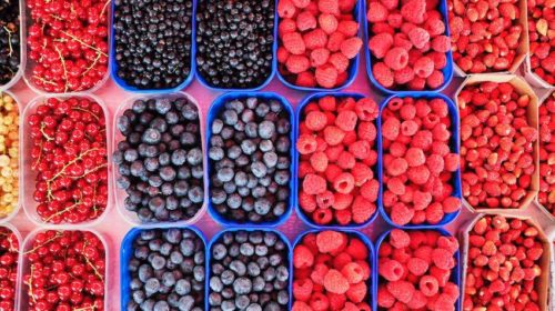 blockchain ibm frutas