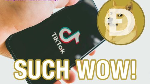 dogetiktokchallange_diariobitcoin
