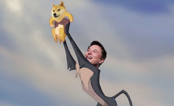 Elon Musk Doge