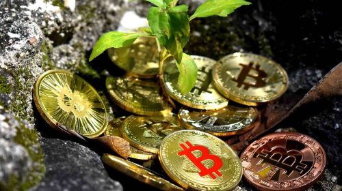 bitcoins empresas