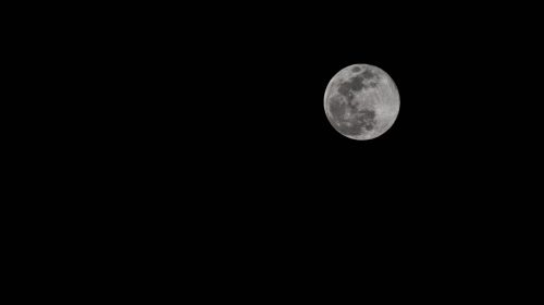 Luna Terra