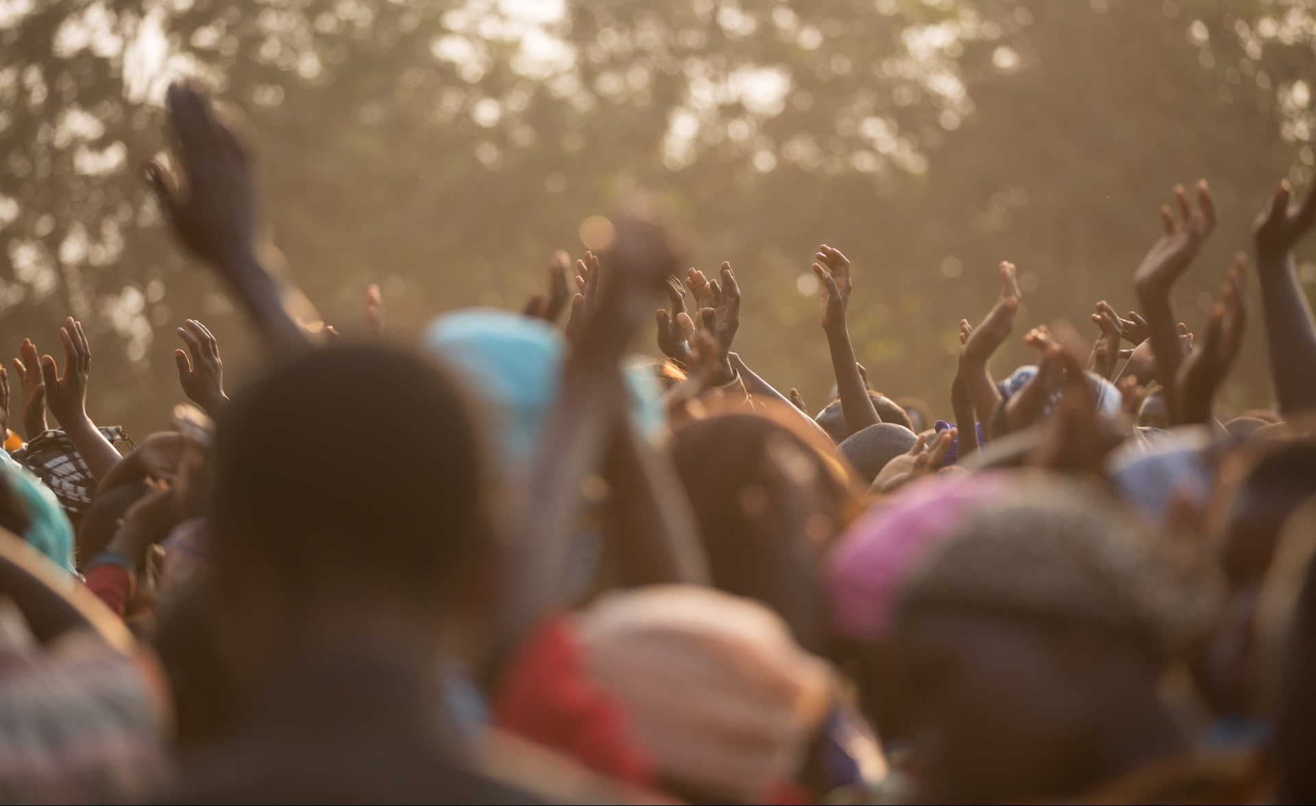 Cardano despliega proyecto para llevar Internet a África, mientras direcciones activas crecen 400%