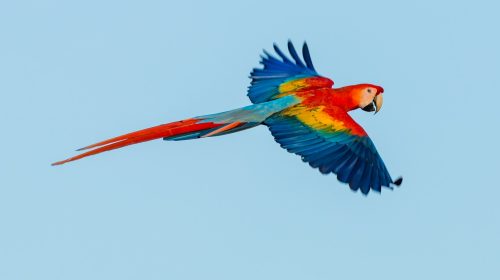 venezuela-unsplash