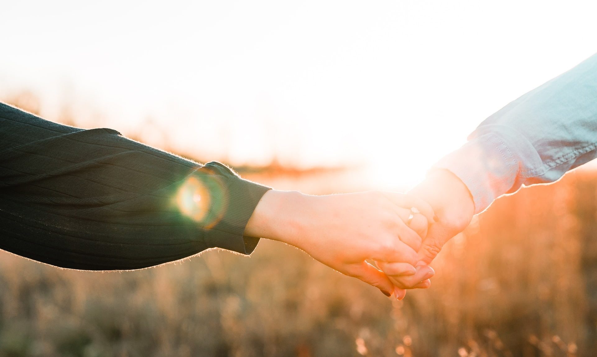 Fundación Cardano dice que ADA es la pareja ‘ecológica’ perfecta para Tesla