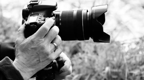 fotógrafa