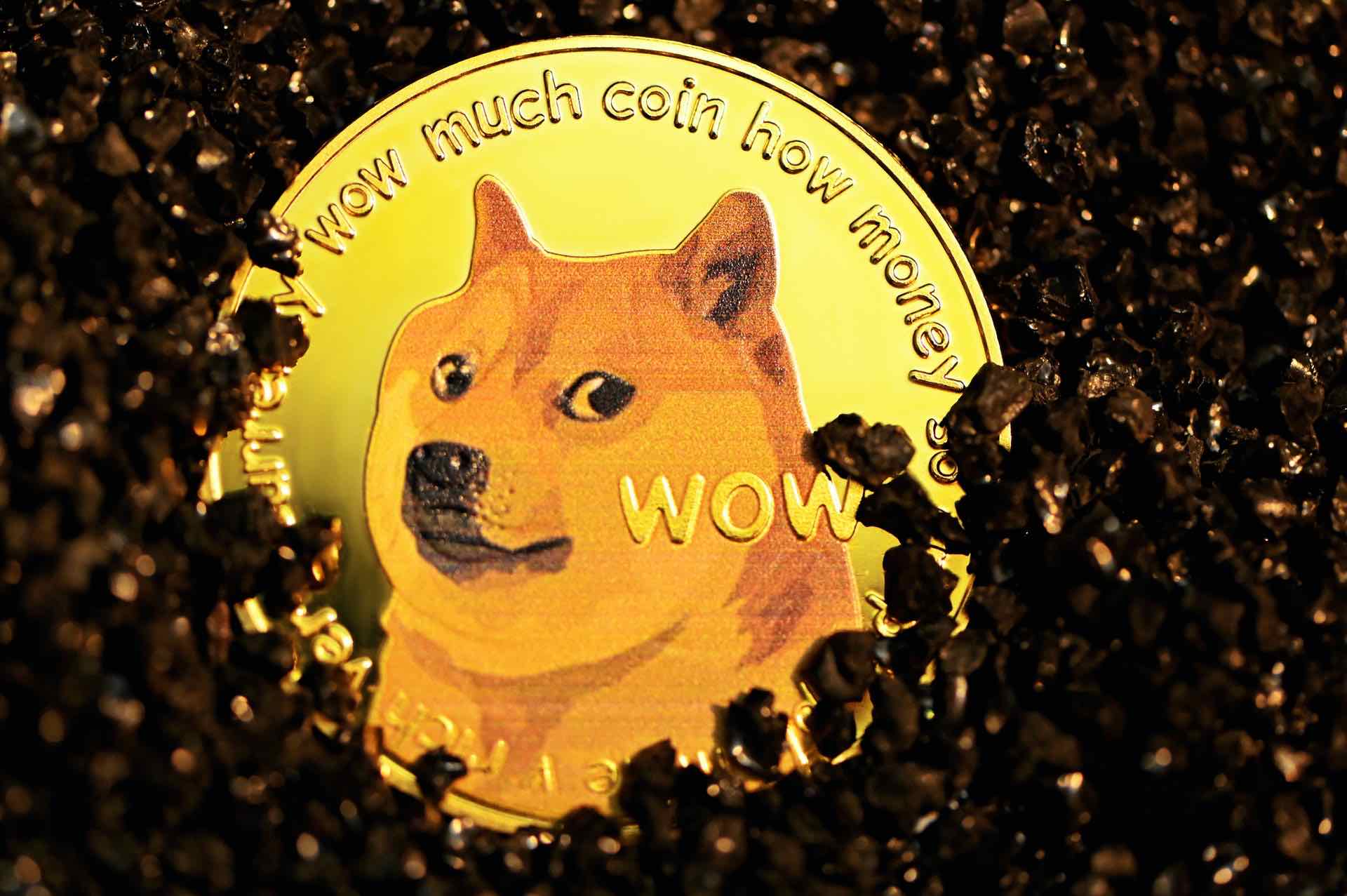 dogecoin this saturday