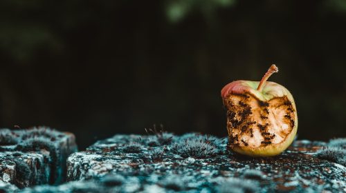 jpmorgan-salvador-unsplash