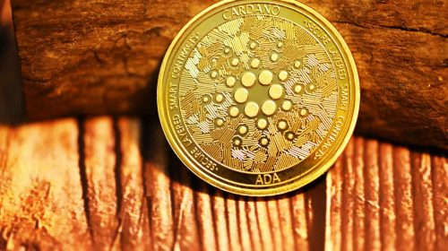 cardano-unsplash