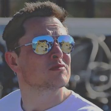 elon musk doge