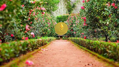 ethereum jardín