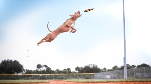 record-unsplash
