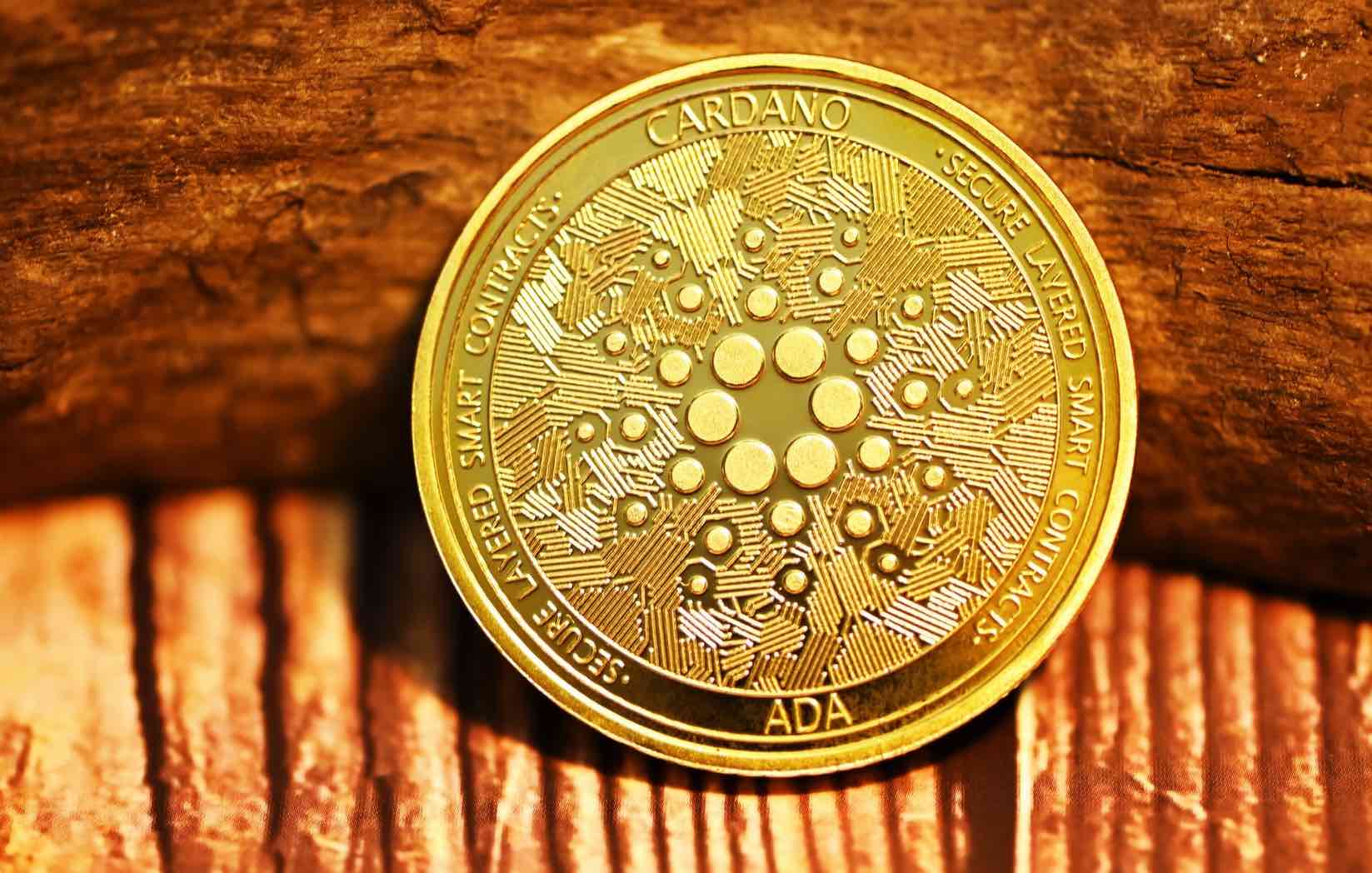 Hoskinson asegura que Cardano “da prioridad a los derechos humanos”